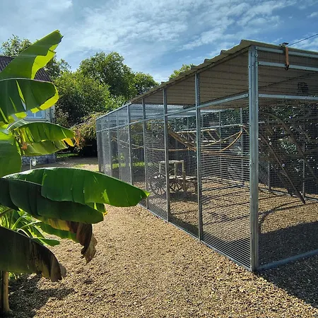 Chaleureux Pour 4 Pers Avec Piscine Chauffee Et Bien-etre - Fr-1-410-483 * لا فْلوش