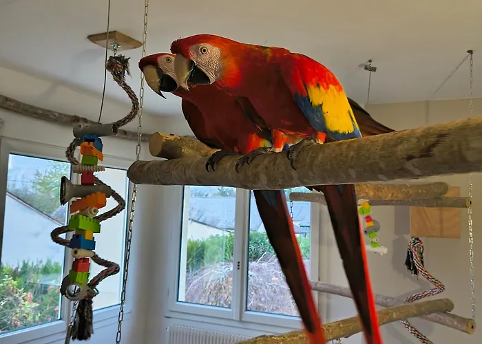 Chaleureux Au 2ème étage Avec Piscine Chauffée Proche Du Zoo - Fr-1-410-483 * La Flèche